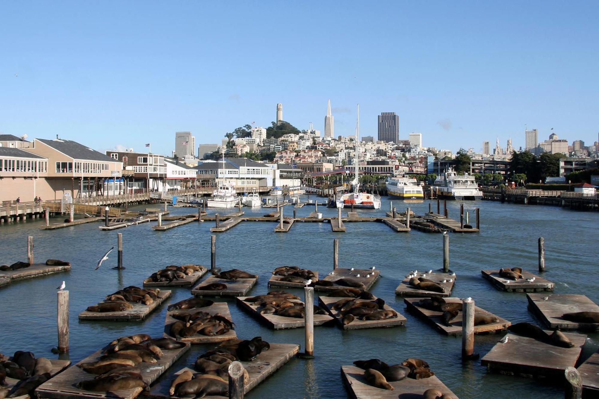 Hotel Zoe Fisherman'S Wharf Сан-Франциско Экстерьер фото